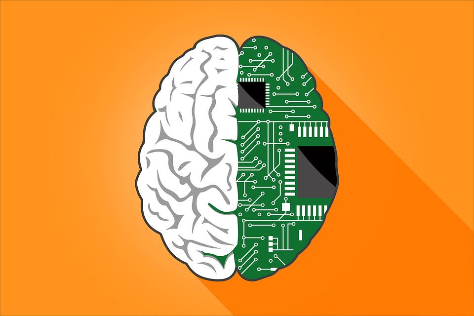 Digital Mind Brain Technology Creative By Max Pixel